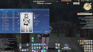 FFXIV Online | Smol guide to instant duty portraits