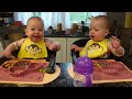 Twins try lamb