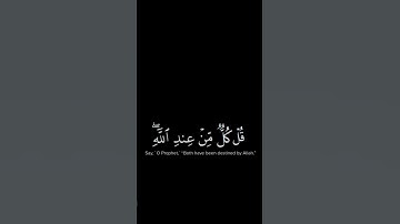 القارئ: ياسر الدوسري السورة: النساء (76-77)  قران خلفيه سوداء