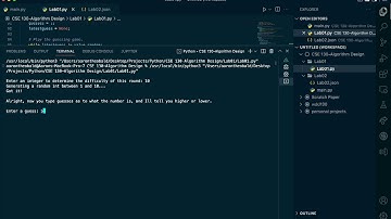 Lab01 Video for my Algorithm Design course