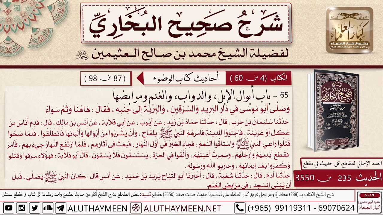 235- 3550- باب أبوال الإبل والدواب والغنم ومرابضها وصلى أبو موسى في دار البريد  📙صحيح البخاري