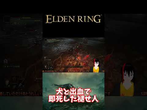 【ELDEN RING】犬と出血で即4した褪せ人【長月紅葉】 #eldenring #エルデンリング #ゲーム実況 #ゲーム配信