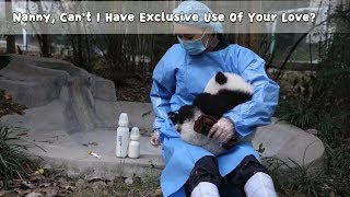 Nanny, Can't I Have Exclusive Use Of Your Love? | iPanda