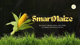 SmartMaize - Prototype Figma App Demonstration | ICT551 Group Project