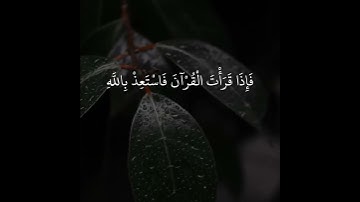 تلاوة هادئة تريح القلب | عبد الرحمن مسعد | فَإِذَا قَرَأْتَ الْقُرْآنَ فَاسْتَعِذْ بِاللَّهِ