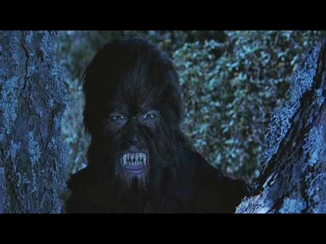 Night of the Werewolf Blu-ray (El retorno del hombre lobo)