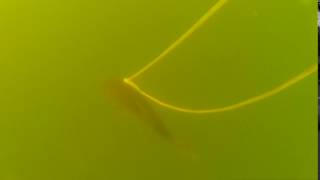 2015 0225 164803 042