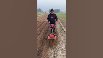 Save time, effort, and labor. A good helper for farmers. Suitable for greenhouse orchards.