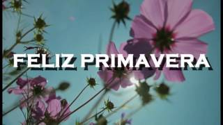 Feliz primavera!!!