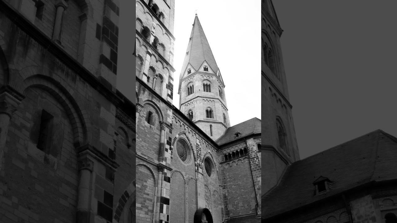 "Why Don't u take black and white Photos?" #shorts #short #photography #wildlife #architecture