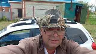 Генеральная уборка голубятни !!!