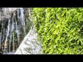 【自然音】水雫 / 1 Hour Nature Sounds - Water Drops