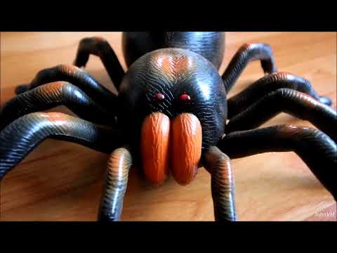 RC Tarantula!