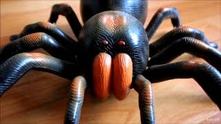 RC Tarantula!