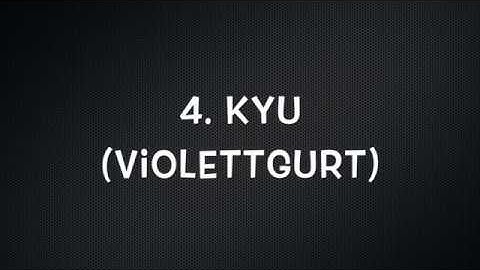 4. Kyu (Violettgurt)