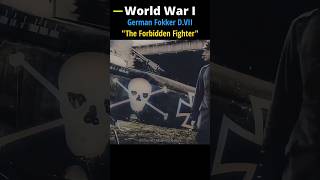 Rare WW1 German Fokker D.VII Aerial Combat Footage #shorts #planes #ww1