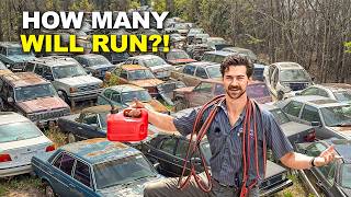 200+ Rare Abandoned Cars… Most Haven’t Run in DECADES