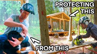 My Wilderness Summer Retreat is Threatened By a Nose- And I'm Going to Stop it. ep195