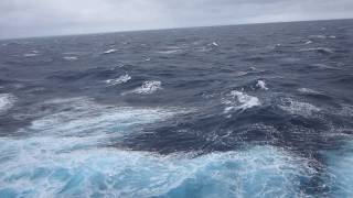 On the High Seas (MVI 2549)