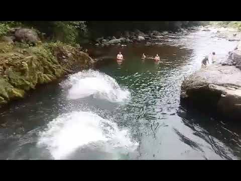 შემოქმედი ჩაქუხა