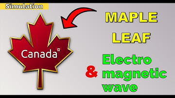 Moving Canada flag maple leaf illuminated by an electromagnetic plane wave (FDTD)