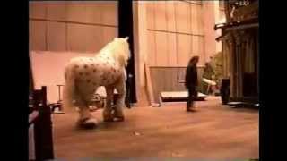 Ultra realistic animatronic horse costume demo