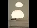 Fluid Pendant Light——An Instant Focal Point of Artistic Conversation