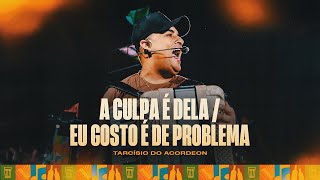A CULPA É DELA / EU GOSTO É DE PROBLEMA - Tarcísio do Acordeon (Tarcisiologia)
