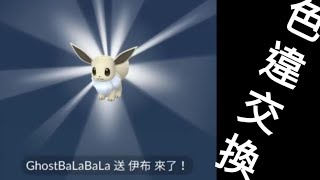 Pokémon GO 367 交換色違伊布洗素質