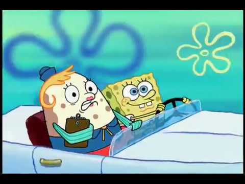 سبونج بوب رخصة القيادة حلقة جديدة