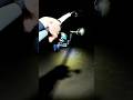 what the hell was this ? #fishing #beachfishing #spooledreels #sekisix #daiwa