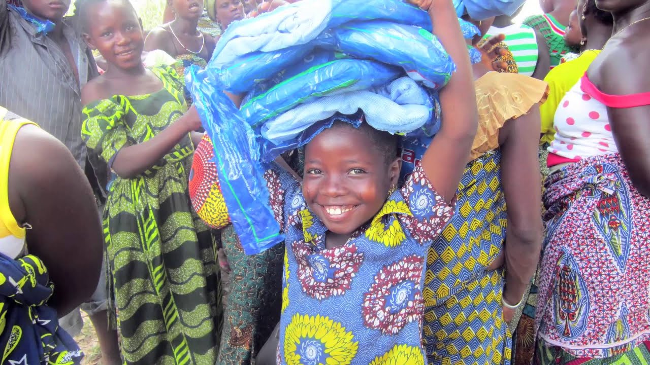 Anti-malaria bed nets 101