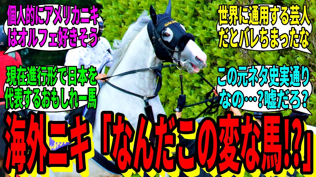 Horse Racing Reactions] Viewers' Reactions to 