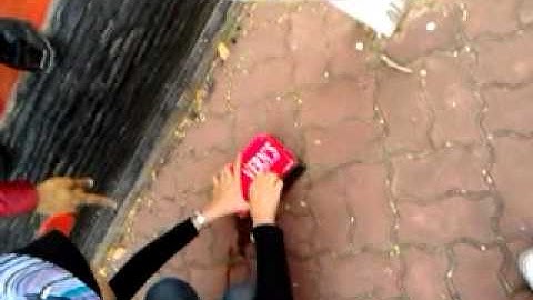 CC Class (Testing prototypes of Saving the Eggs)