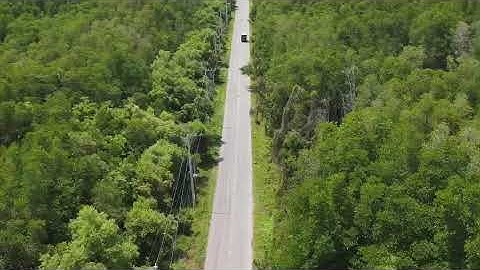 Cần giờ rừng sác quá tuyệt vời cho khám phá rừng ngập mặn