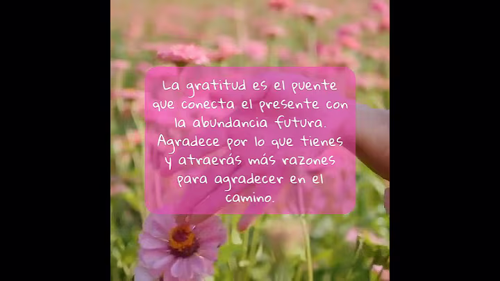 ✨🩷🙏GRATITUD 😍 AGRADECE SIEMPRE 🙏🩷✨ #frases #agradecer #gratitud #serenidad🩷🙏✨#padrepio