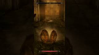 COMBAT IS STILL SATISFYING AFTER 15 YEARS 👌👍#skyrim