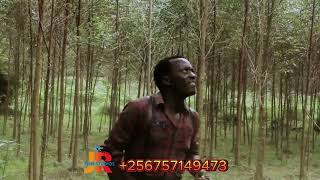 Kika Buka Misinde Joka Teli Kusaga