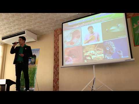 บรรยายสรรพคุณคลอโรฟิลล์100%