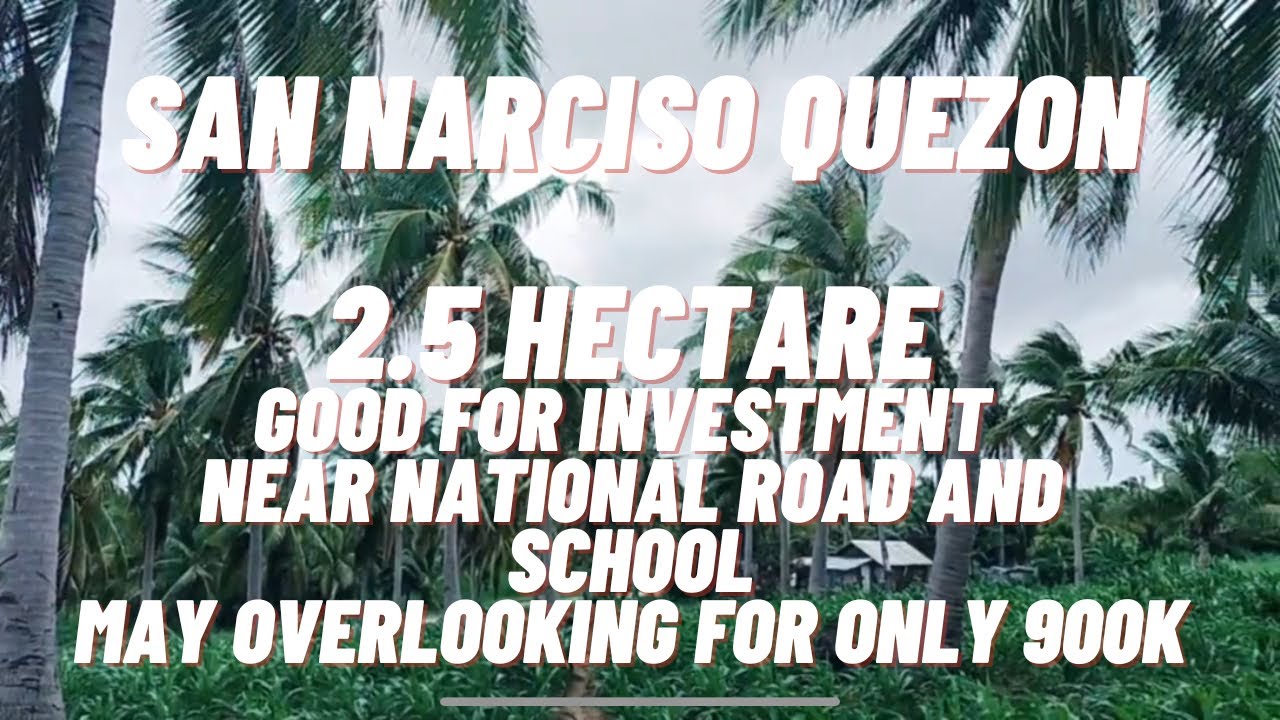 VLOG 91/ SAN NARCISO QUEZON/ MALAPIT SA NATIONAL ROAD AT SCHOOL FOR ONLY 900K LANG, AVAIL NA!!