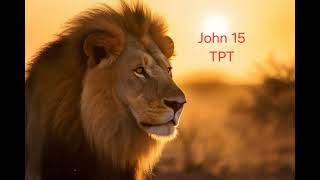 John 15 The Passion Translation TPT Audio Bible