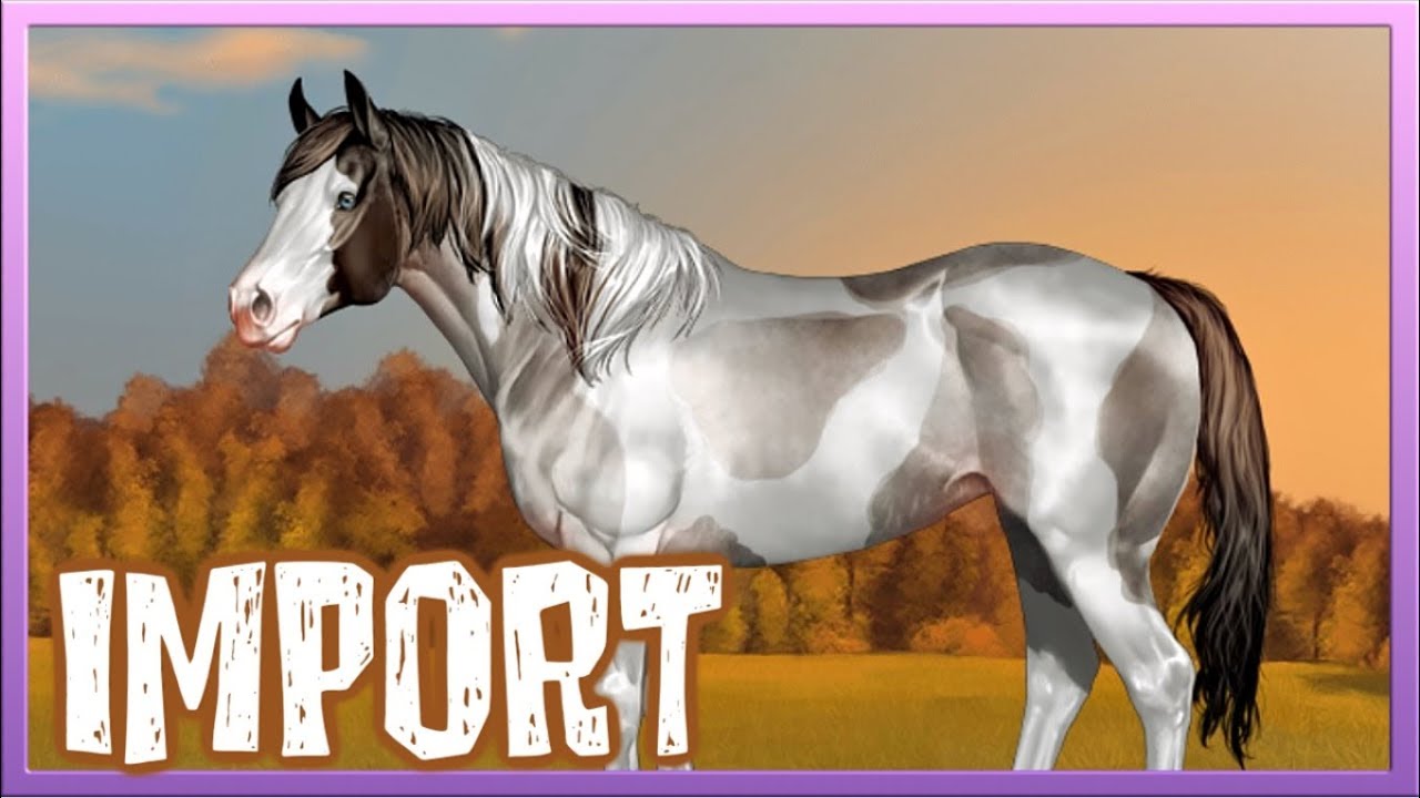Wir geben ALLES für ein IMPORTPFERD aus 🐴! Morning Dust Ranch | Let's ...