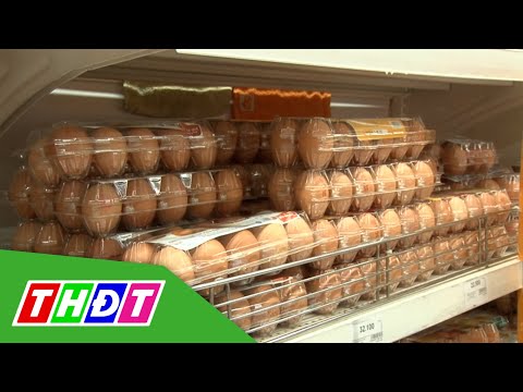 Video Giá trứng gà, trứng vịt tăng mạnh | THDT - youtube