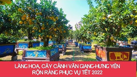 Sôi động Làng hoa cây cảnh Xuân Quan, Phụng Công, Văn Giang - Hưng Yên Tết Nhâm Dần 2022