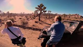 Famous Jesper Vesterstroem Wealth