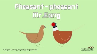 Pheasant-Pheasant Mr.eong