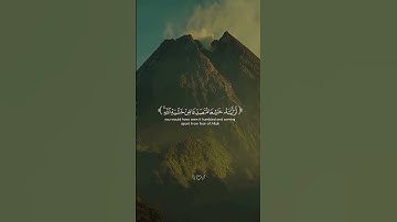 ترنم بديييع || لسورة الحشر #منابر_الرحمن @منابر11