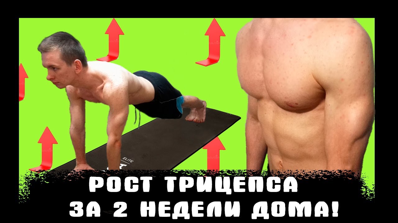 Тренировки без железа. Как накачать руки без железа. Как накачать плечи дома без железа. Упражнения на спину в домашних условиях для мужчин без железа.