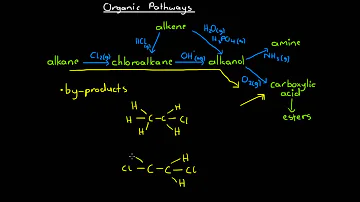 Do catabolic reactions break down molecules?