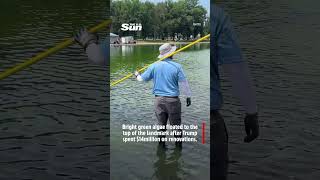 Workers clean green algae from Reflecting Pool days after revamp  #trump #donaldtrump #whitehouse